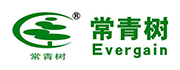 常青树板材